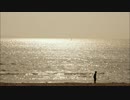 海の声を歌ってみた♪