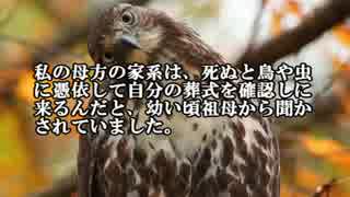 【ゆっくり怪談】自分の葬式を確認しに来る【怖い話】