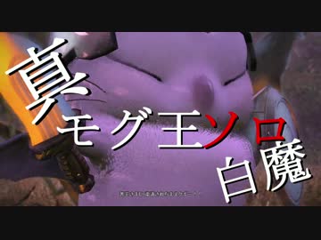 【FF14】善王モグル・モグXII世ソロ【白】超える力無し