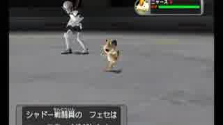 イーブイと共にダーク縛りでポケモンXD闇の旋風ダークルギア実況part12