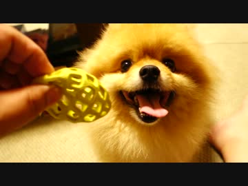 相変わらずカメラ目線すごいね。