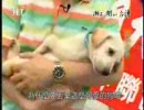 瀬上剛in台湾 「台中剪影」 2/2