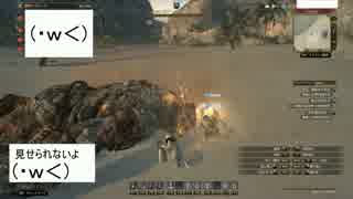 スタイリッシュ（）シーカーズ[DDON]