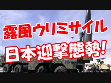 【露風ウリミサイル】 日本は迎撃態勢！