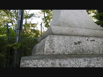 ニホンミツバチが集団尻振りでスズメバチを追い払う