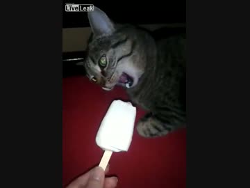 アイス食べたら頭が…