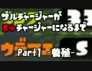 ザルチャージャーがS+チャージャーになるまで Part1 -養殖-