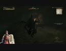 【DDON】潮騒リンドブルムソロ討伐【シールドセージ】