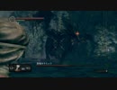 だーくそうるFPS縛り ぱ～と26