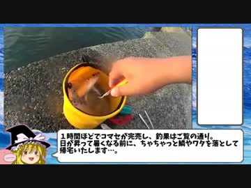 まったり釣行記④☆初夏のアジ釣り