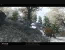 【Oblivion】Oblivion異世界記70【プレイ動画】