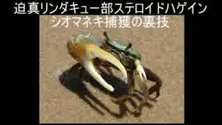 迫真リンダキュー部ステロイドハゲイン・姉妹丼の裏技　その3.mp4