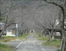 summerをクラシックギターでソロしてみた