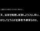 児ポ法改正案の問題点(修正版)