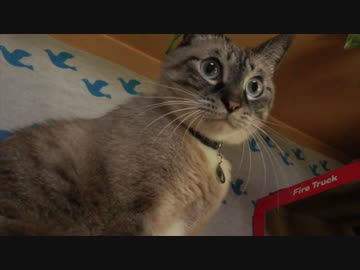 とにかく明るいジャンくんに不信感は無し