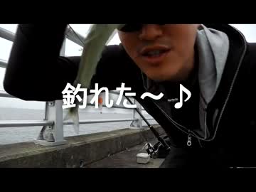 クルマで釣りに行こう♪ part 33 【サヨリ】