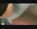 DOA5LR　日本ファルコム　コラボコス　にょてん