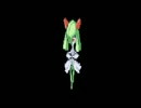 【ポケモンＲＳ】もうめんどくさいからいっぺんにやっちまおう#06