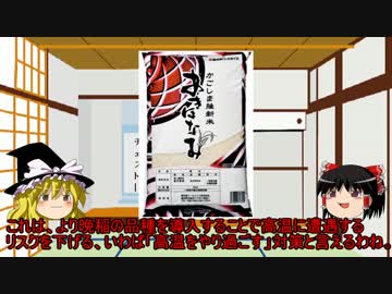 第3回 都道府県のお米【鹿児島県の秋波】