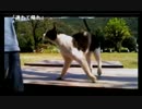 9.22【車載】のんのん学校いくんなんなｗ.mp4