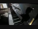 Piano Ninja　弾いてみた【エマーソン】