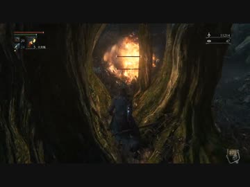 【初見】ハカハカしながらブラッドボーン実況 第58夜