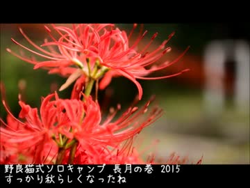 野良猫式ソロキャンプ 長月の巻 2015 前編　秋らしくなったね