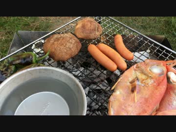 【連休ライフ】近場でレジャーを楽しんだ