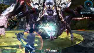 【PSO2】背中で語るナックル　VSグアル・ジグモルデ