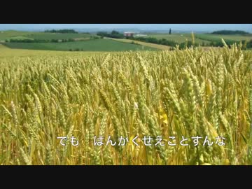 ごんぼほって北海道