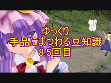 ゆっくり手品にまつわる豆知識　8.5回目(印度縄 編)