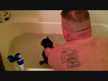 猫とお風呂に入る外国人