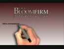 bloom media