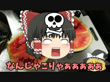 ゆっくり霊夢とゆっくり魔理沙の 家庭菜園 始めるよ 第８回