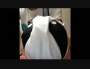 下ネタという概念が(ry EDをオタマトーンで弾いてみた