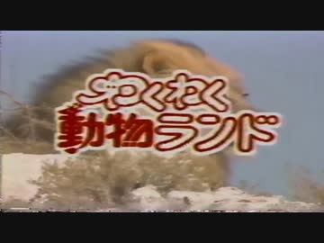 わくわく左翼ランド　in沖縄（辺野古）
