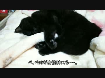 【ミニ四駆】ゆっくりミニ四駆始めました。11