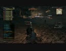 【DDON】シールドセージで魔物のるつぼ