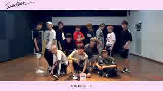 [K-POP] SEVENTEEN - Mansae (HIDE ver) (Dance Practice) (HD)