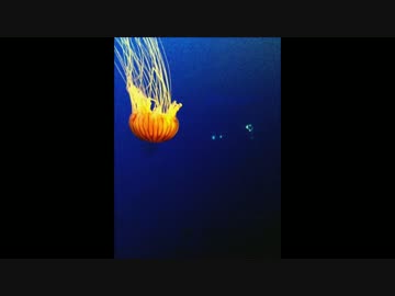 【オリジナル】　flutter