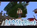 SkyBlock～島は破壊されるもの～No.16