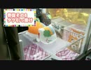 【UFOキャッチャー】奇抜な獲り方9連発！