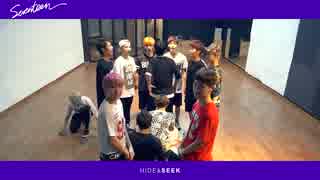 [K-POP] SEVENTEEN - Mansae (SEEK ver) (Dance Practice) (HD)