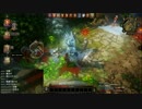【Divinity: Original Sin】二人でまったり大冒険！プレイ動画その129