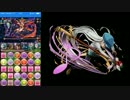 【パズドラ】スカーレット降臨　絶地獄級　カイトで安定周回！