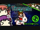 あきゅすずで 猫でもできる Terraria p.5