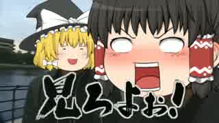 【第６回うっかり卓ゲ祭り】メックウィザードでＰＲ本編の１【TRPG】