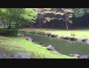 【癒し系ＢＧＭ】　雫と雨音④　【自然音】.mp4