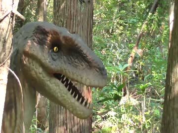 【福井県のジュラシックパーク】