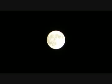 【鳥さんぽ】9月琵琶湖・鴨川【中秋の名月】